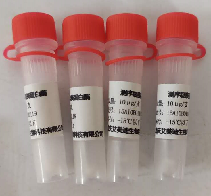 测序级重组胰蛋白酶MTrypsin