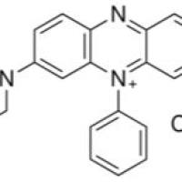 4569-86-2/	 亚甲基紫3RAX ,	Dye content 90%