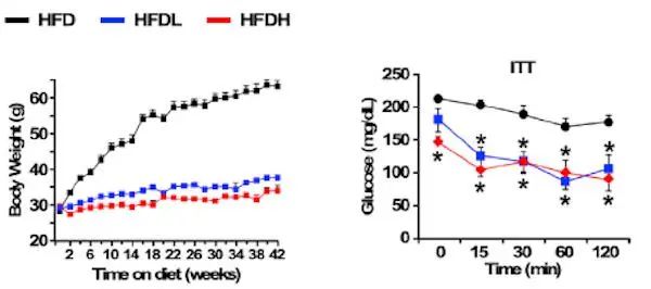 戒酒还能减肥？带你认识老药新用“戒酒仑”