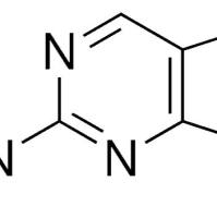 452-06-2/	 2-氨基嘌呤 ,	98%