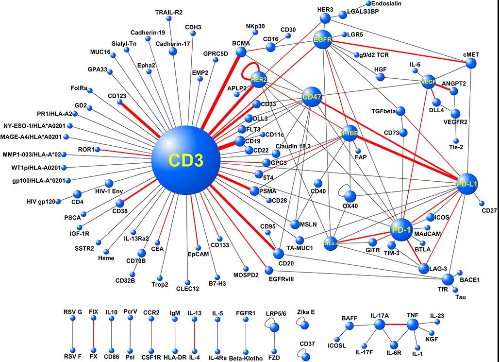 做双抗研发的你确定使用的CD3蛋白是1:1异源二聚体吗？