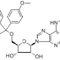 81246-82-4/ 5'-O-(4,4'-二甲氧基三苯甲基)-N6-苯甲酰基腺苷, 98%