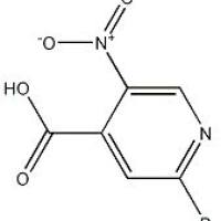 1053655-82-5/	 2-溴-5-硝基吡-4-羧酸 ,	98%