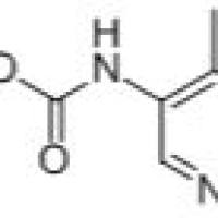 694495-63-1/	 METHYL (4-METHYLPYRIDIN-3-YL)CARBAMATE ,	98%
