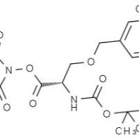 13650-73-2/	 N-(叔丁氧羰基)-O-苄基-L-丝氨酸 N-琥珀酰亚胺酯 ,	98.0%(N)