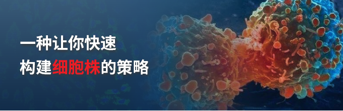 一种让你快速构建细胞株的策略