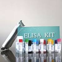 大鼠(Rat)D二聚体(D2D)ELISA检测试剂盒