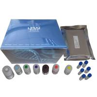 高品质Elisa试剂盒厂家