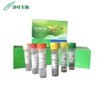 PCR定量试剂盒厂家