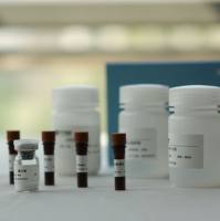 微量波动Ames试验（Mini-Ames）试剂盒