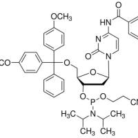 102212-98-6/ DMT-dC(bz)亚磷酰胺单体 , 99%