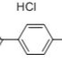 14988-87-3/4-二甲基甲酰氯盐酸盐