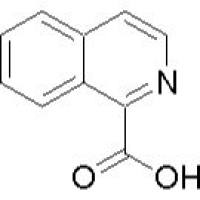 486-73-7/	 异啉羧酸 ,98%
