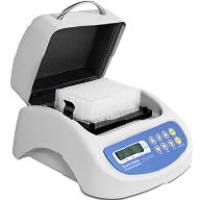 TS-DW深孔板恒温振荡器