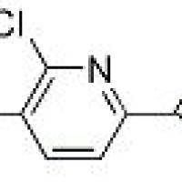 959958-25-9/	 5-溴-6-氯吡啶-2-羧酸 ,	97%