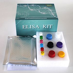 大鼠（Rat）组织因子（TF）ELISA检测试剂盒|Rat TF ELISA Kit