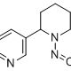 1133-64-8/N-亚硝基假木贼碱(NAB)