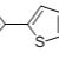 3480-11-3/	 5-溴-2,2-双噻吩 ,	97%