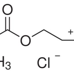 5039-78-1/甲基烯酰氧乙基三甲基氯化