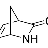49805-30-3/	 2-氮杂双环[2.2.1]庚-5-烯-3-酮 ,	98%