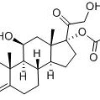 15180-00-4/泼尼松龙戊酸酯
