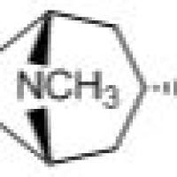 498-45-3/	 Scopine ,	分析标准品,HPLC≥98%