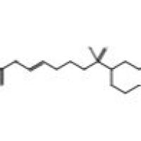 53948-46-2/Hydroxy cyclophosphamide Semicarbazone