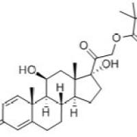1107-99-9/泼尼松龙戊酸酯