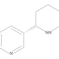 494-52-0/(-)-假木贼碱