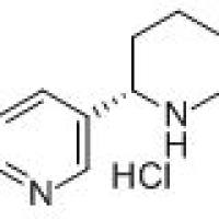 53912-89-3/(+)-假木贼碱盐酸盐