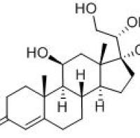 116-58-5/20Β-羟基可的松