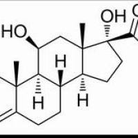 50-23-7/	 氢化可的松 ,	分析标准品,HPLC≥98%