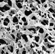 Millipore Durapore 表面滤膜,PVDF,亲水,0.22 µm,142 mm,白色,光面 货号GVWP14250