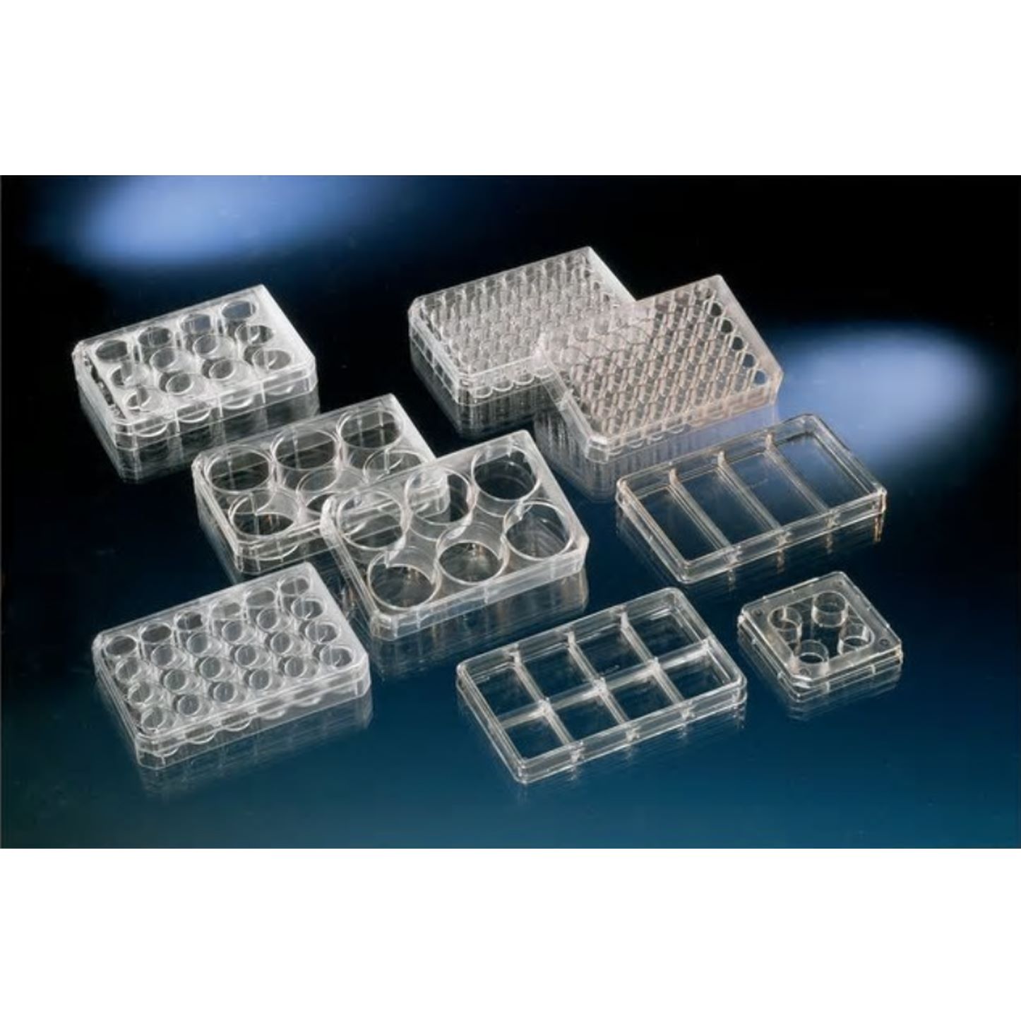 Nunc 142475 24孔细胞培养板，独立包装，标准TC，平底，带盖，已灭菌，现货