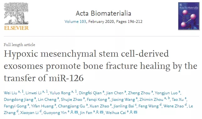 南京医科大学揭示MSC来源的外泌体对骨折愈合的作用