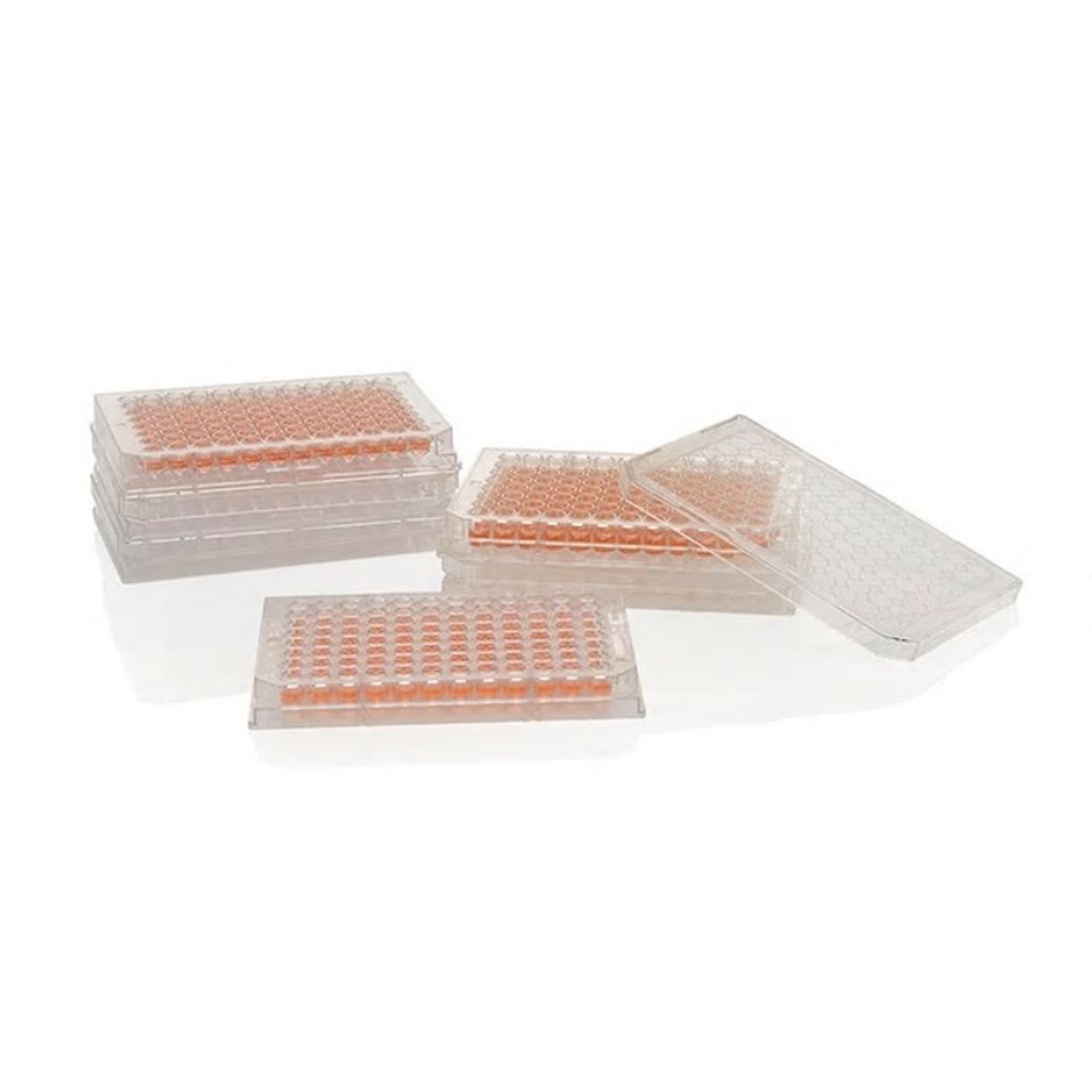 Nunc 167008 96孔细胞培养板，独立包装，标准TC，平底，带盖，已灭菌，现货