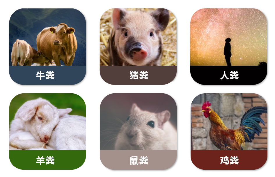 新品上市 | 柱膜法粪便DNA提取试剂盒，让高纯度的核酸「提」出来！