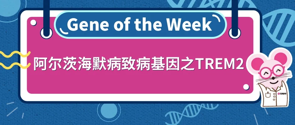 阿尔茨海默病致病基因之TREM2