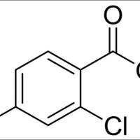 35112-28-8/2,4-二甲酸甲酯