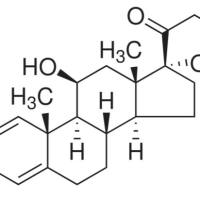 50-24-8/	 泼尼松龙 ,	分析标准品,HPLC≥98%