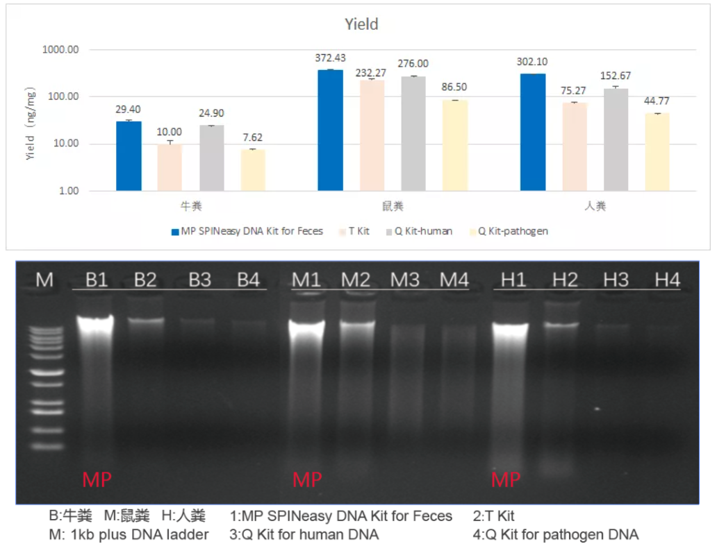 新品上市 | 柱膜法粪便DNA提取试剂盒，让高纯度的核酸「提」出来！
