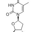 52450-18-7/ 3’-氨基-2',3'-双脱氧胸苷 ,98%