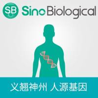 Human PAX3 cDNA Clones