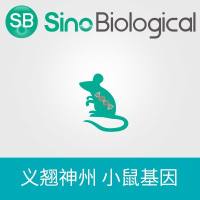 Mouse RAB25 cDNA Clones