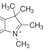 5418-63-3/ 1,2,3,3-四甲基-3H-吲哚鎓碘化物 ,98%