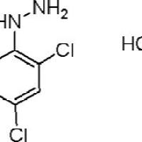 5446-18-4/	 2,4-二氯肼盐酸盐,	99%