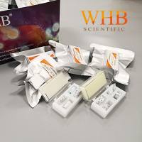 WHB TC处理96孔板圆形细胞爬片（Φ3mm），灭菌