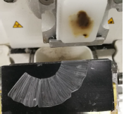 石蜡切片不佳，这些补救措施你知道吗？