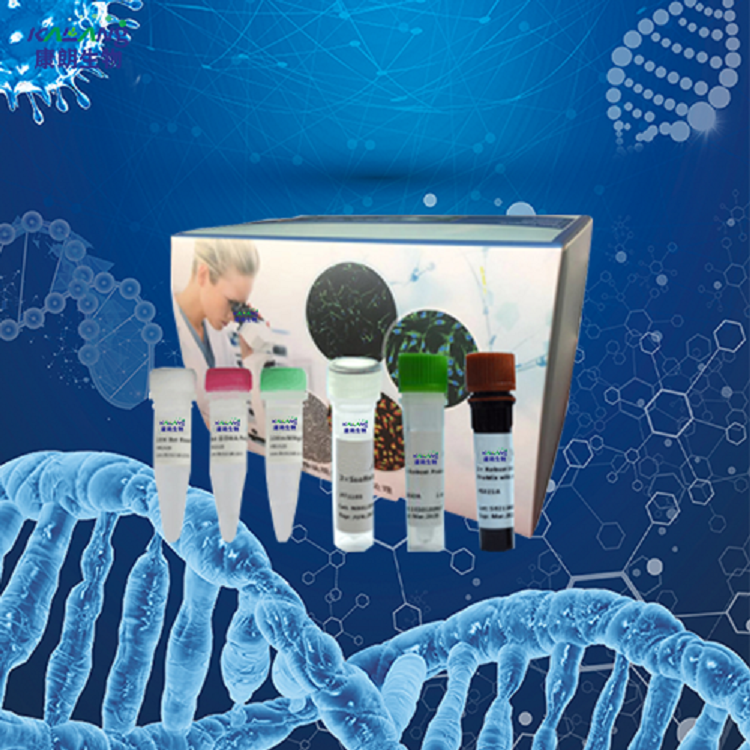 禽白血病病毒J亚群探针法荧光定量RT-PCR试剂盒