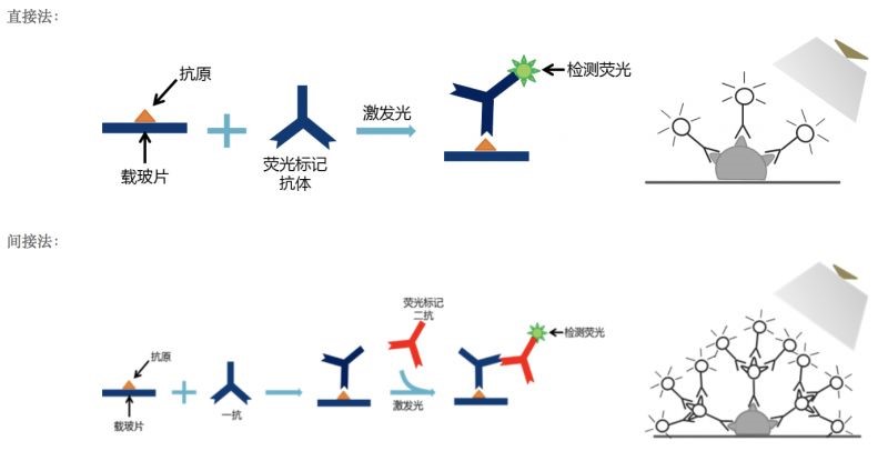 免疫染色技术讲堂 1 企业动态 丁香通